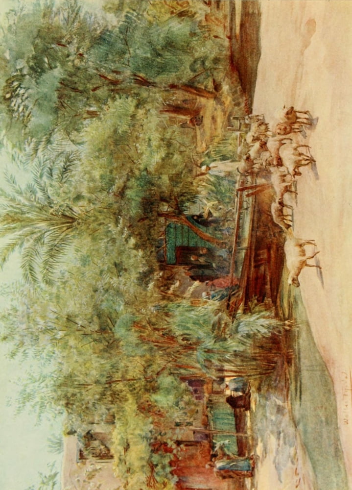 An Artist in Egypt 1912 The village of Marg Canvas Art - Walter Tyndale (18 x 24)