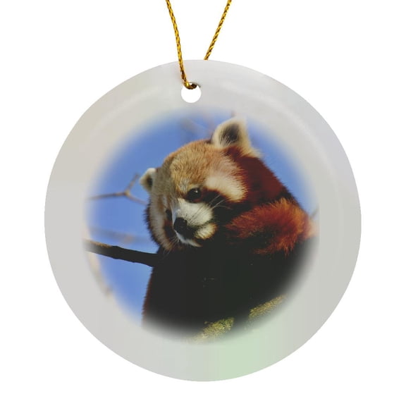 3drose, an Cute and Fluffy Red Panda Sitting in a Tree, Circle Porcelain Ornament