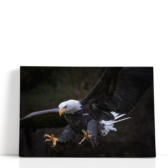 An Eagle Setting for Landing - Wrapped Canvas Print Wall Art | 30" W x 20" H