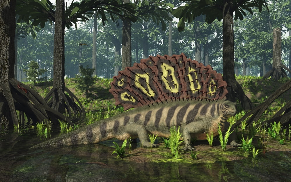 An Edaphosaurus forages in a brackish mangrove like swamp Canvas Art - Walter MyersStocktrek Images (35 x 22)