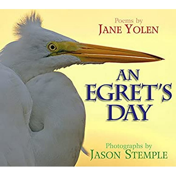 Pre-Owned An Egrets Day  Hardcover Jane Yolen