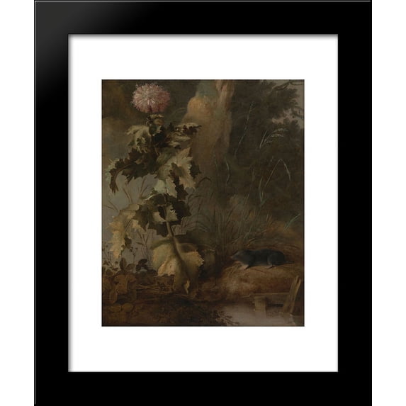 An Egyptian Poppy and a Water Mole 20x24 Framed Art Print by John Crome