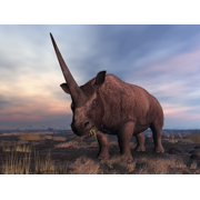 An Elasmotherium grazing Canvas Art - Walter MyersStocktrek Images 17 x 13