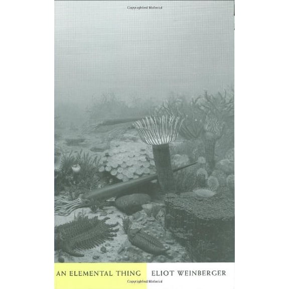 An Elemental Thing Binding: Paperback
