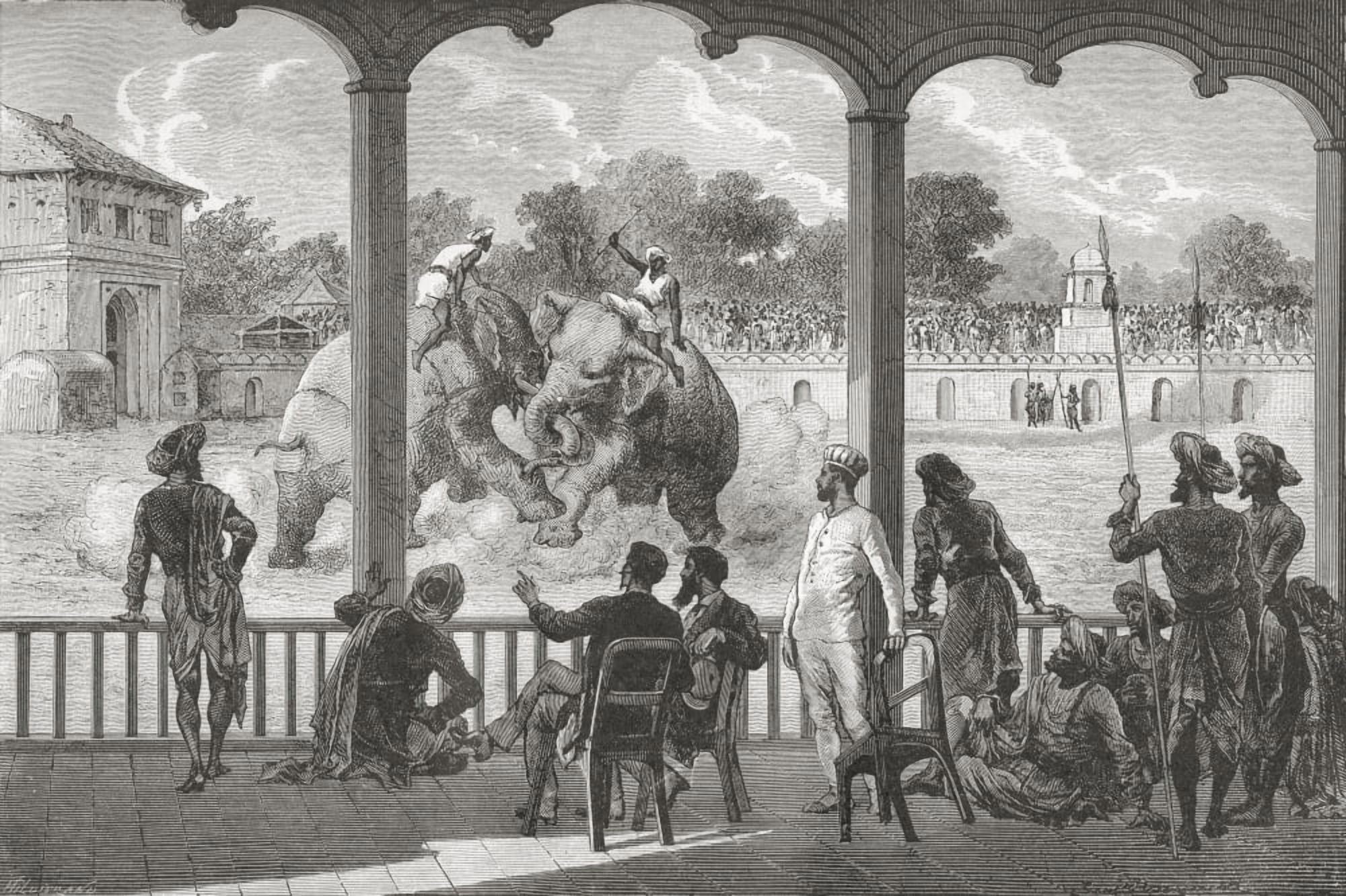 An Elephant Fight Baroda India In The 19Th Century From El Mundo En La Mano Published 1878 Canvas Art - Ken Welsh Design Pics (36 x 24)