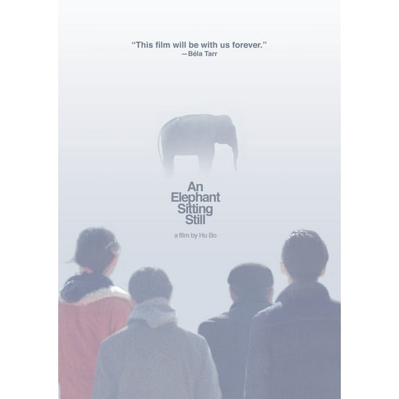 An Elephant Sitting Still