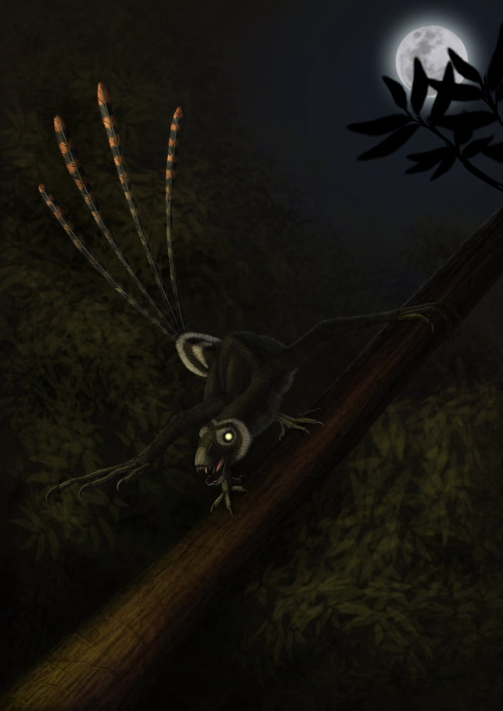 An Epidexipteryx reacts aggressively in a prehistoric forest Canvas Art - Alvaro RozalenStocktrek Images (12 x 17)