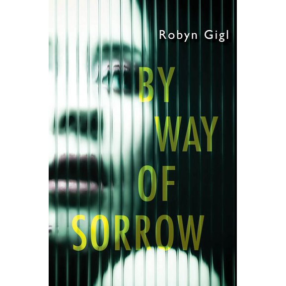 An Erin McCabe Legal Thriller By Way of Sorrow, (Hardcover)