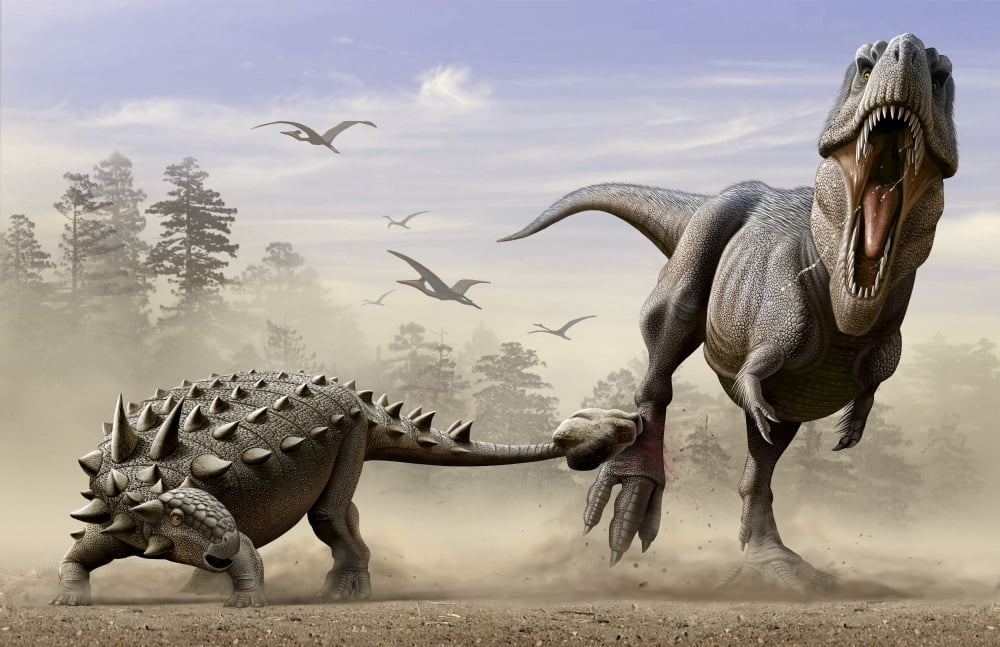 An Euoplocephalus hits T-Rexs foot by its mace like tail in self-defense Canvas Art - Mohamad HaghaniStocktrek Images (18 x 12)