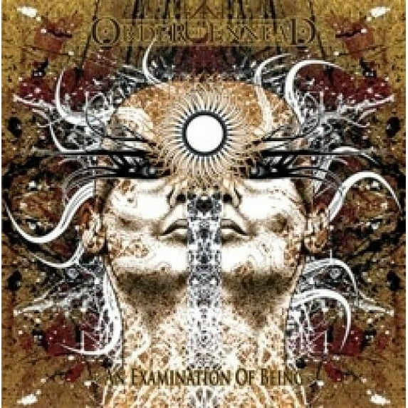 An Examination Of Being