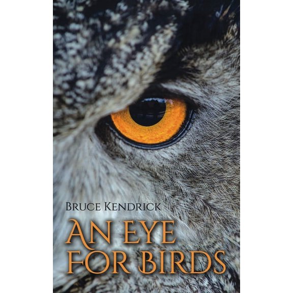 An Eye for Birds (Paperback)