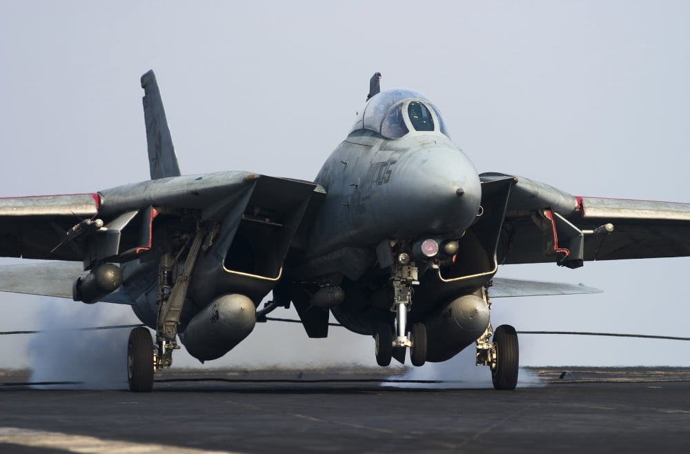 An F-14D Tomcat makes an arrested landing on the flight deck of USS Theodore Roosevelt Canvas Art - Gert KromhoutStocktrek Images (35 x 23)