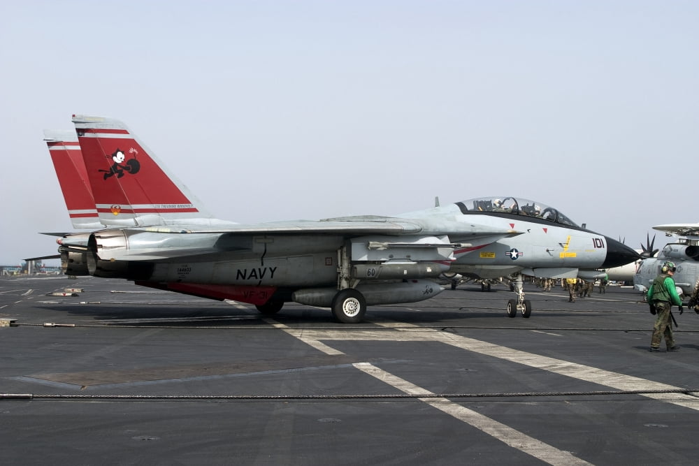 An F-14D Tomcat on the flight deck of USS Theodore Roosevelt Canvas Art - Gert KromhoutStocktrek Images (18 x 12)