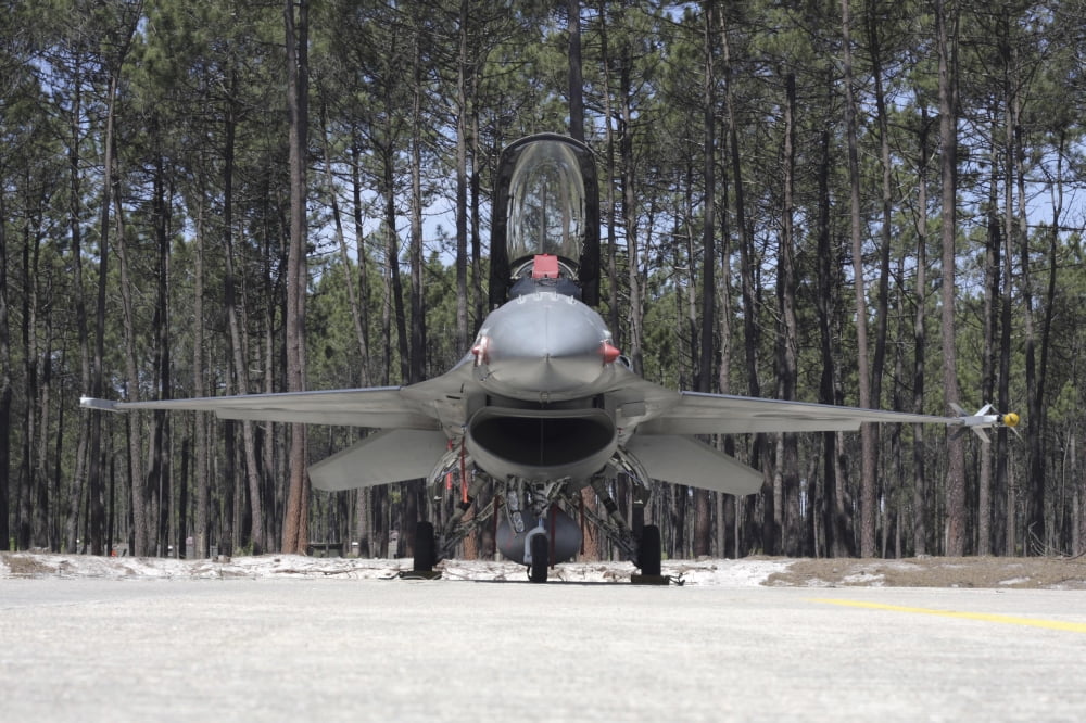 An F-16A Fighting Falcon of the Portuguese Air Force Canvas Art - Timm ZiegenthalerStocktrek Images (35 x 23)