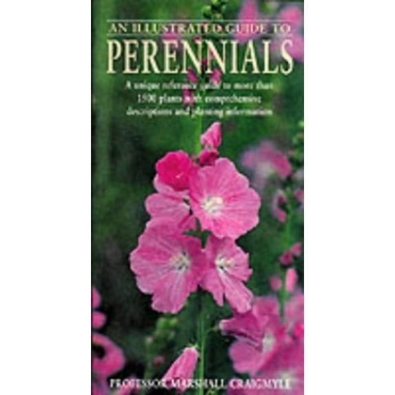 Pre-Owned An Illustrated Guide to Perennials (Paperback) 1840651512 9781840651515
