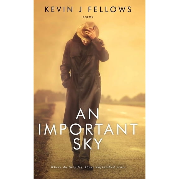 An Important Sky: Poems, (Paperback)
