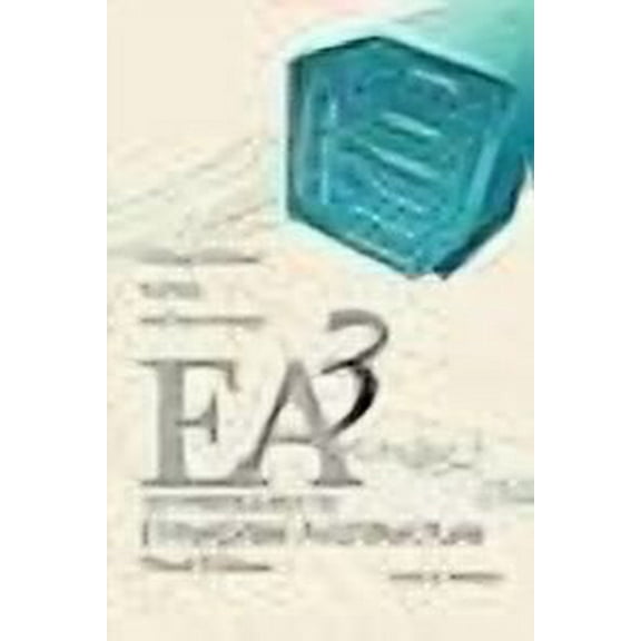 An Introduction to Enterprise Architecture (Paperback)