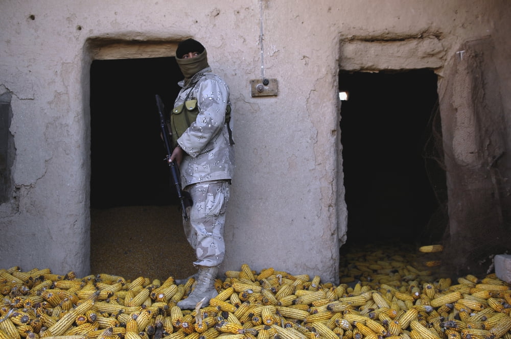 An Iraqi army soldier checks a storage room during an operation to find weapons caches Canvas Art - Stocktrek Images (34 x 23)