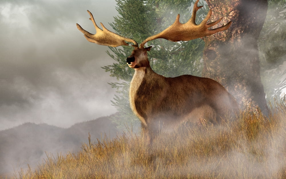 An Irish Elk stands in deep grass on a foggy hillside Canvas Art - Daniel EskridgeStocktrek Images (18 x 11)