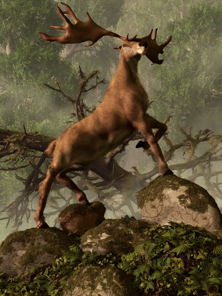 An Irish Elk stands proudly in a dense forest Canvas Art - Daniel EskridgeStocktrek Images (13 x 17)
