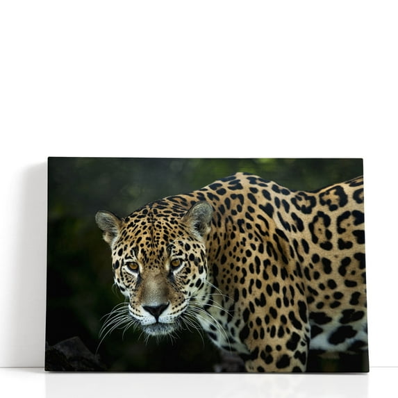 An Isolated Leopard's Closeup - Wrapped Canvas Print Wall Art | 48" W x 32" H