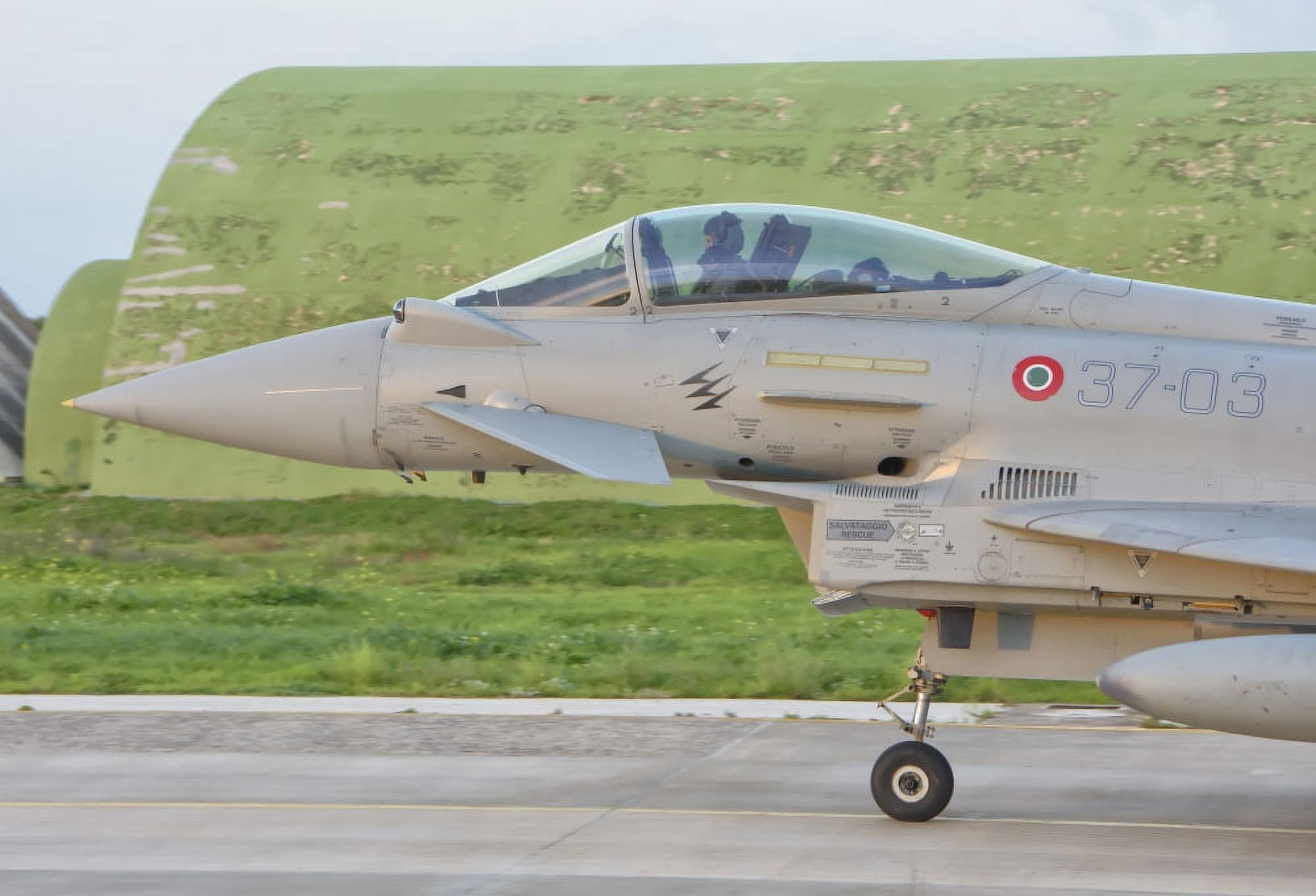 An Italian Air Force F-2000 Typhoon at Trapani Air Base Italy Canvas Art - Giovanni CollaStocktrek Images (34 x 24)