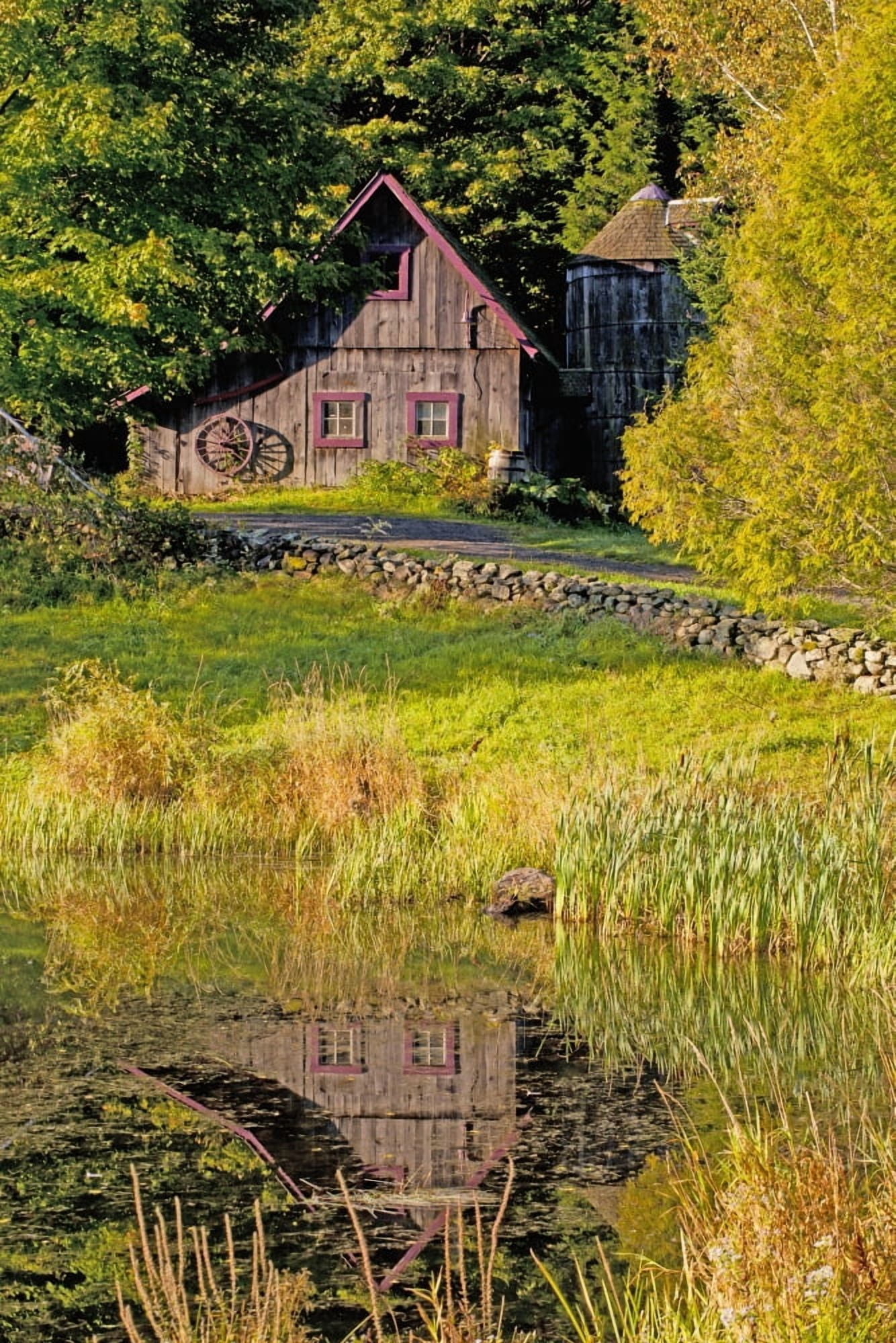 An Old Barn Reflected In The Pond Water Ville De Lac Brome Quebec Canada Canvas Art - David Chapman Design Pics (26 x 38)
