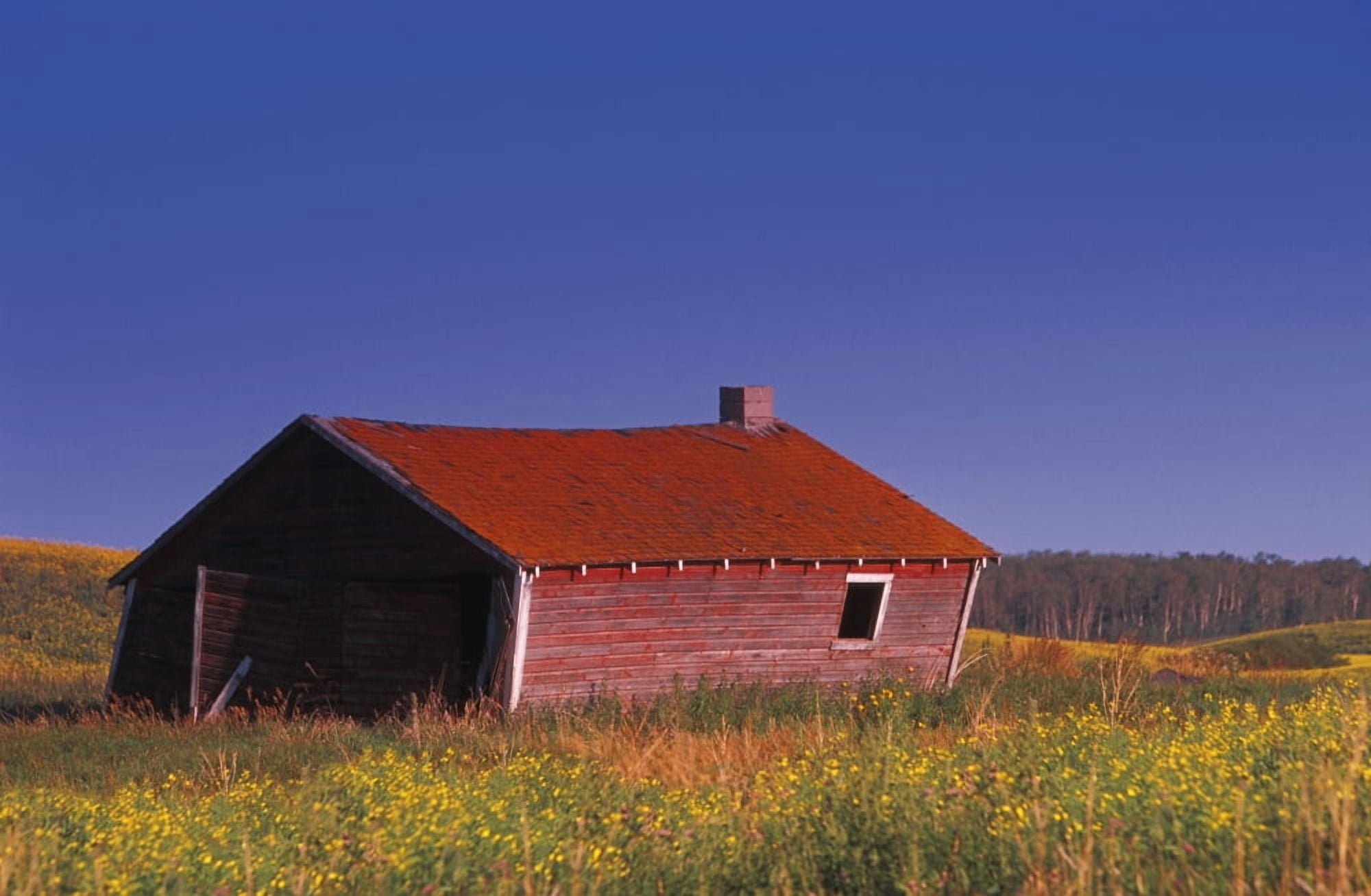 An Old Farm Building Canvas Art - Carson Ganci Design Pics (17 x 11)