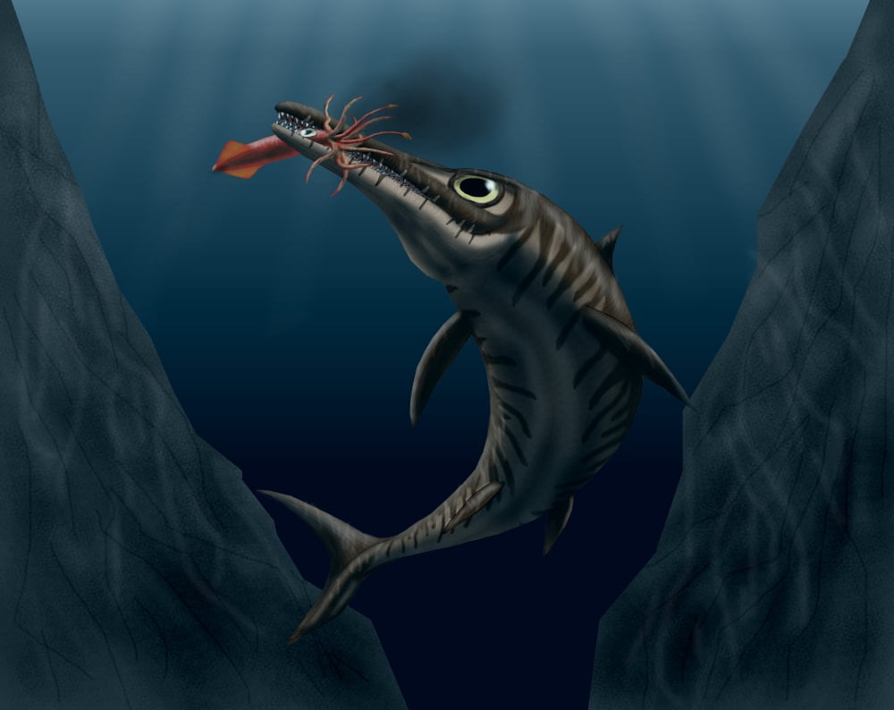 An Ophthalmosaurus catches a squid in the deep sea Canvas Art - Vitor SilvaStocktrek images (32 x 25)