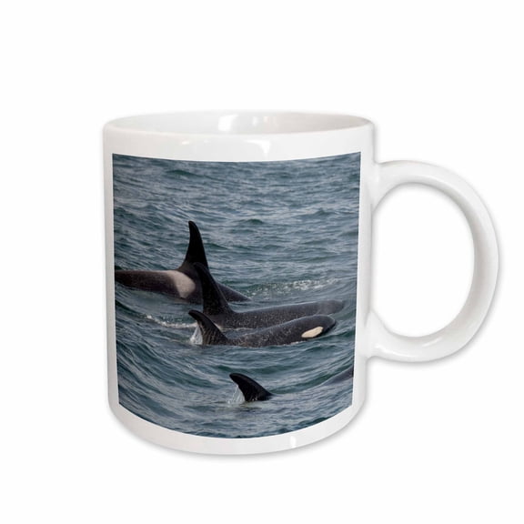 3drose, an Orca Family Swimming Along Icy Strait, Alaska., 11oz Mug