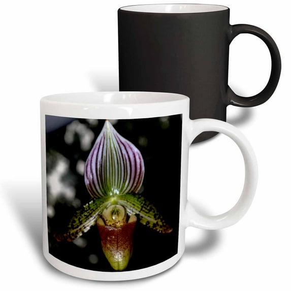3drose, an Orchid That Is in the Shape of a Slipper, 11oz Magic Transforming Mug