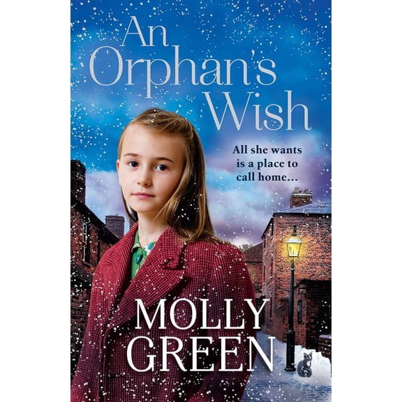 An Orphan's Wish, (Paperback)