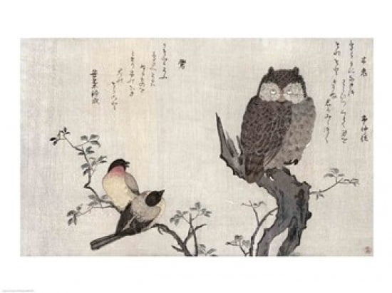 An Owl and two Eastern Bullfinches Canvas Art - (36 x 24)