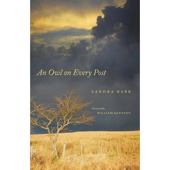 An Owl on Every Post, (Paperback)