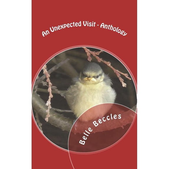 An Unexpected Visit - Anthology (Paperback)