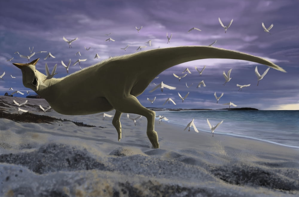 An albino Carnotaurus surprising a flock of Lectavis Canvas Art - Michele DessiStocktrek Images (35 x 23)