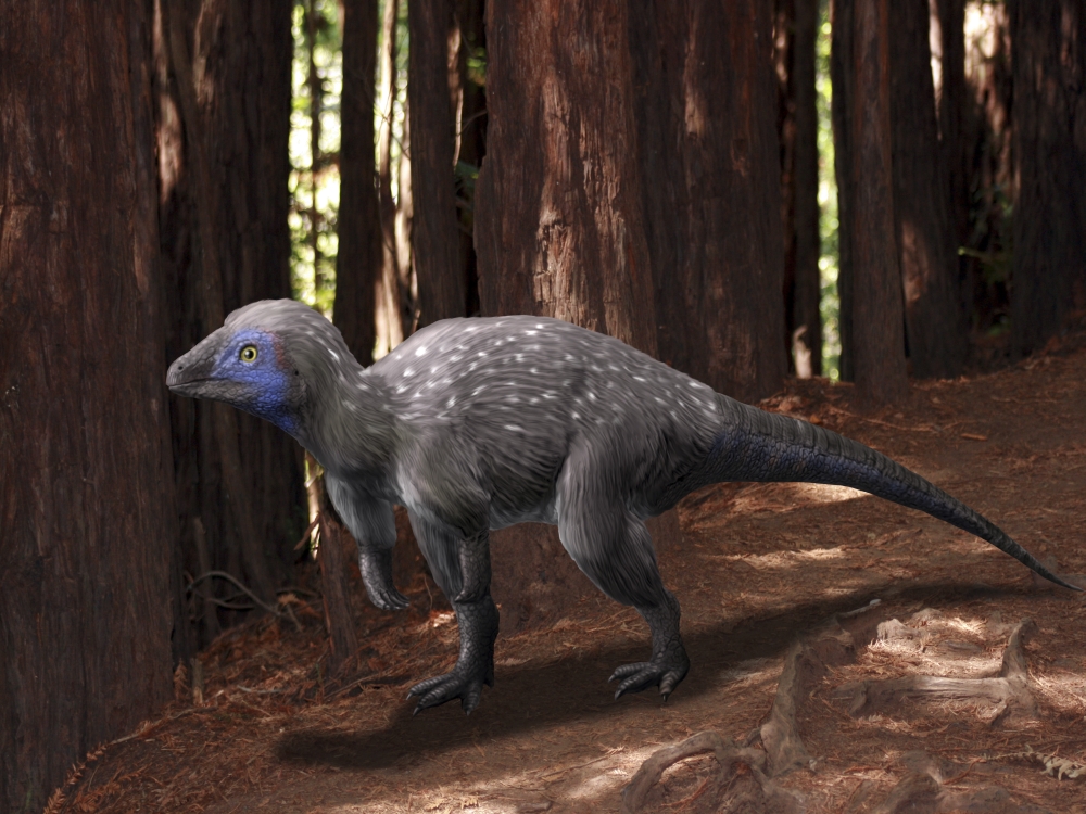 An alert Kulindadromeus in the woodlands Canvas Art - Nobumichi TamuraStocktrek Images (33 x 25)