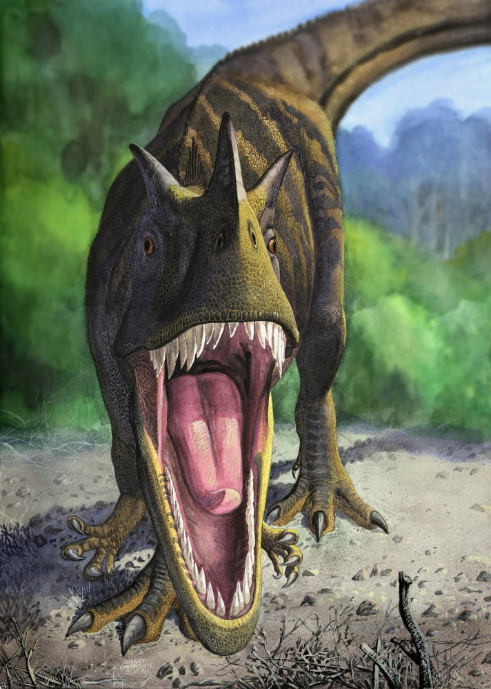 An angry Ceratosaurus dentisulcatus dinosaur shows its fierce teeth Canvas Art - Sergey KrasovskiyStocktrek Images (12 x 17)