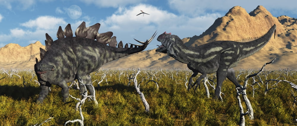 An armor plated Stegosaurus defending itself from an attacking Allosaurus Canvas Art - Mark StevensonStocktrek Images (43 x 19)