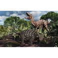 thumbnail image 1 of An armored Ankylosaurus protecting itself from a Tyrannosaurus rex. Poster Print by Mark Stevenson/Stocktrek Images (18, 1 of 2