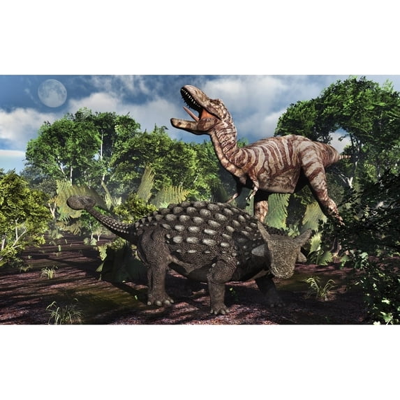 An armored Ankylosaurus protecting itself from a Tyrannosaurus rex. Poster Print by Mark Stevenson/Stocktrek Images (18