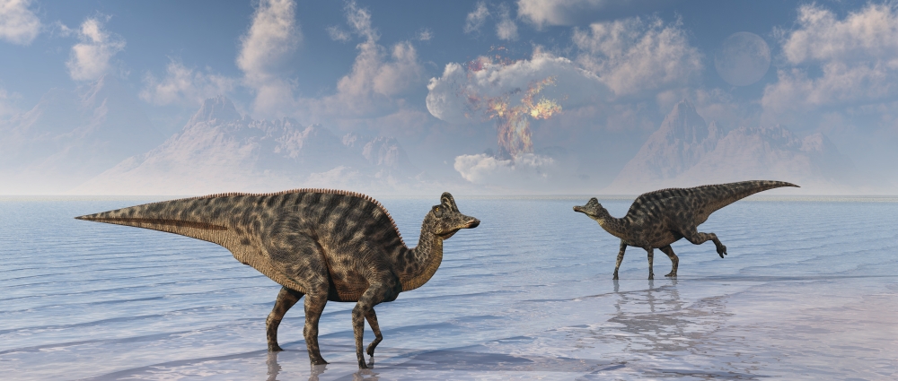 An asteroid hitting the Earth marking the end of Velafrons and all dinosaurs Canvas Art - Mark StevensonStocktrek Images (22 x 10)