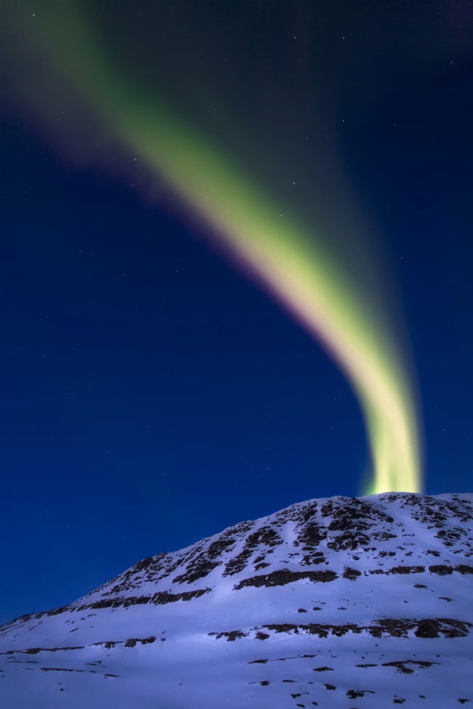 An aurora borealis shooting up from Toviktinden Mountain Norway Canvas Art - Arild HeitmannStocktrek Images (12 x 17)