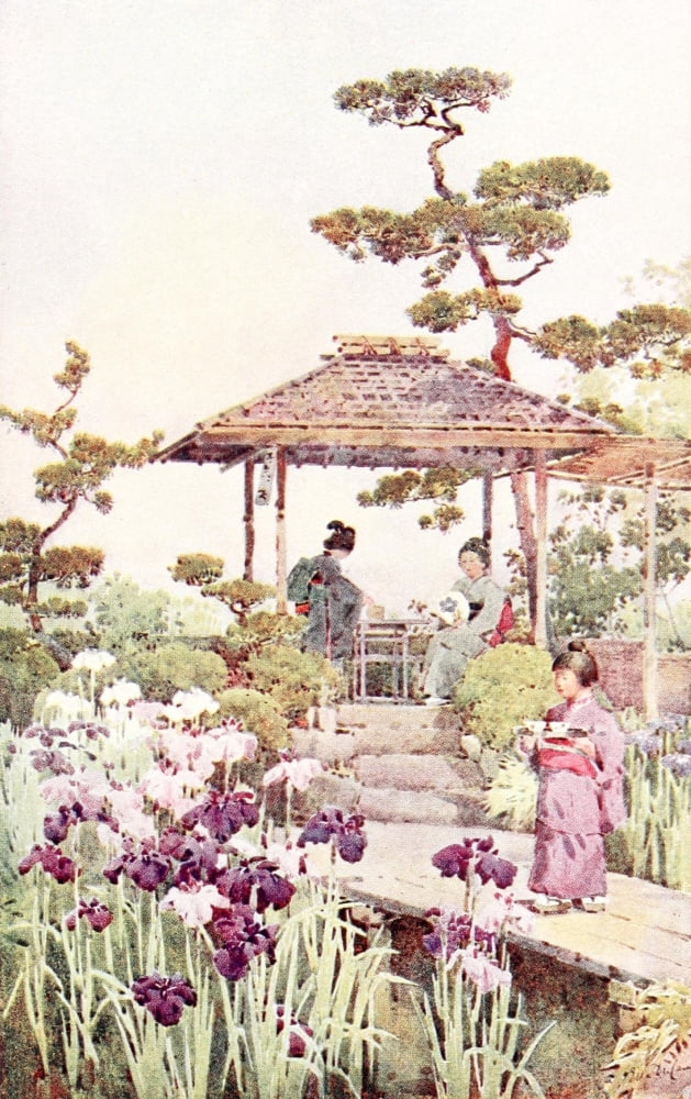 An iris garden Flowers & Gardens of Japan 1908 Canvas Art - Ella Du Cane (24 x 36)