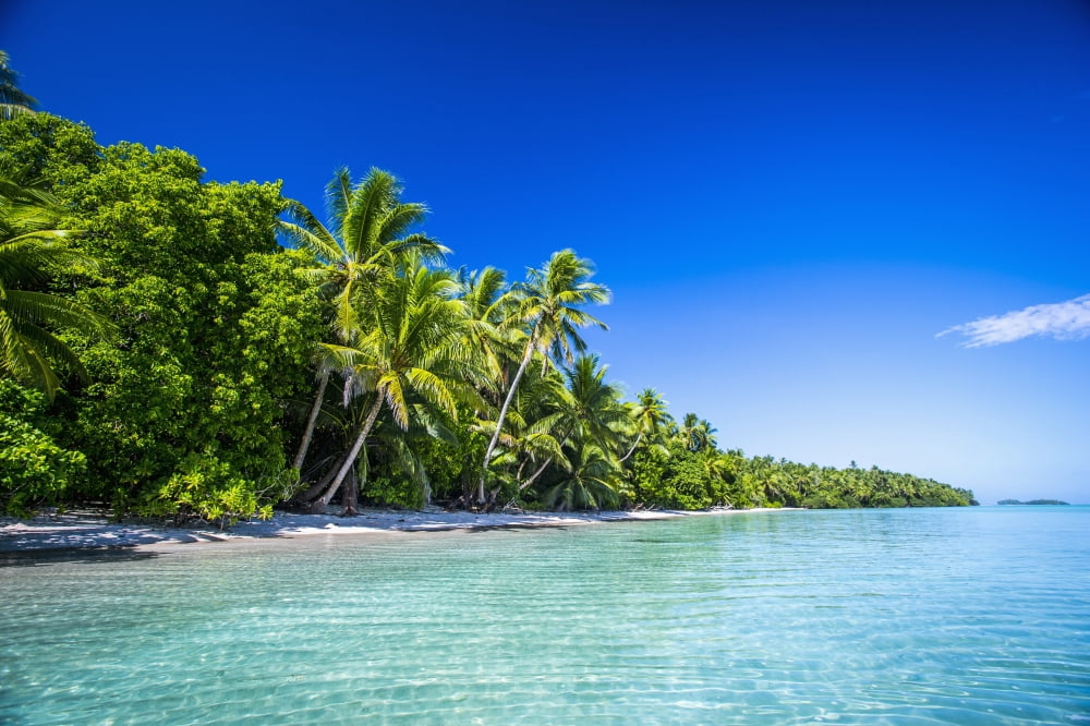 An island that forms part of the marine park near the Tuvalu mainland Tuvalu Canvas Art - David Kirkland Design Pics (19 x 12)