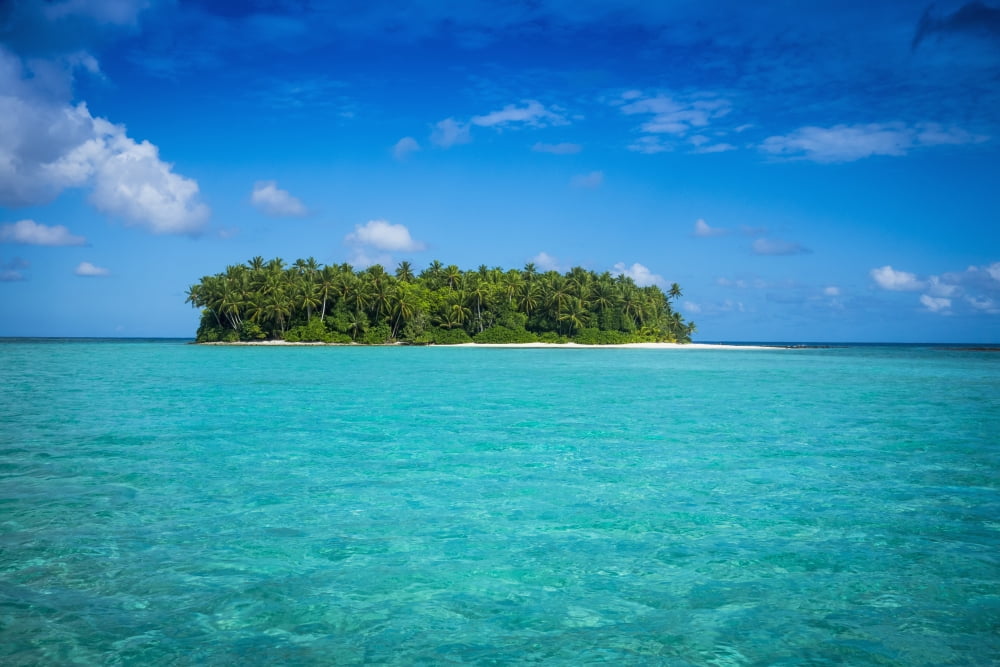 An island that forms part of the marine park near the Tuvalu mainland Tuvalu Canvas Art - David Kirkland Design Pics (19 x 12)