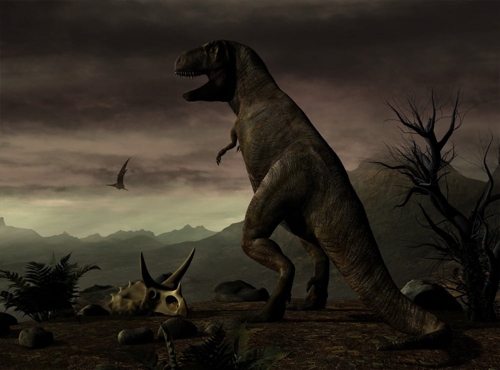 An old-fashioned depiction of Tyrannosaurus Rex in upright stance Canvas Art - Philip BrownlowStocktrek Images (17 x 12)