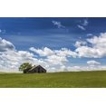 thumbnail image 1 of An old wooden building with one tree in a rolling grassy field with clouds and blue sky West of High River; Alberta Ca, 1 of 4