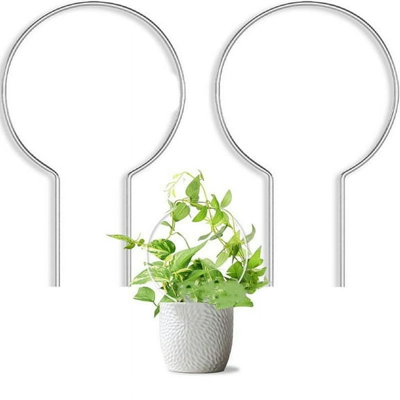 Ana 2PC Acrylic Shape Plant Climbing Frame Creative Support Flower Arrangement