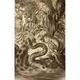thumbnail image 1 of Anaconda Looking For Prey From La Vida De Los Animales Published Spain Circa 1885 Poster Print, 11 x 18, 1 of 1